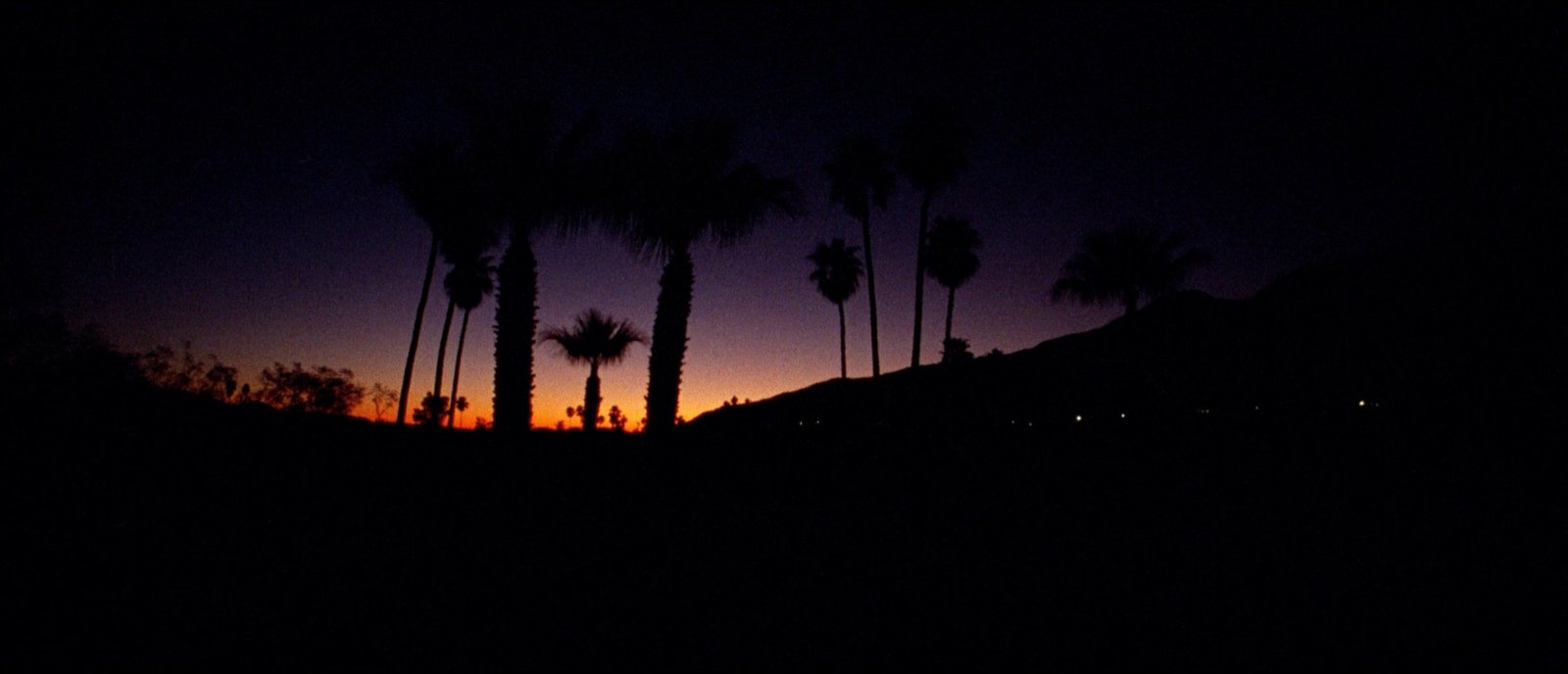 Palm trees against the Palm Springs mountains at dusk